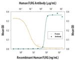 FLRG Antibody in Neutralization (Neu)