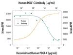 PDGF-C Antibody in Neutralization (Neu)