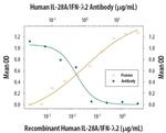 IL-28A Antibody