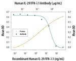 IL-29 Antibody in Neutralization (Neu)