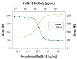 IL-12 p40 Antibody in Neutralization (Neu)