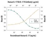 IL17RA Antibody