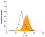 ECE1 Antibody in Flow Cytometry (Flow)