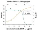 IL-28B Antibody