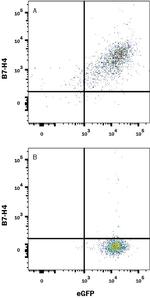 B7-H4 Antibody in Flow Cytometry (Flow)