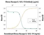 IL-18 Antibody in Neutralization (Neu)