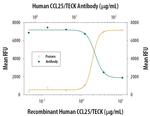 TECK Antibody in Neutralization (Neu)