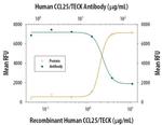 TECK Antibody