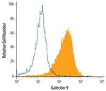 Galectin 9 Antibody in Flow Cytometry (Flow)