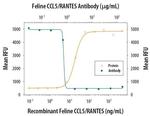 CCL5 (RANTES) Antibody