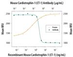 Cardiotrophin 1 Antibody in Neutralization (Neu)