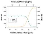 CCL28 Antibody in Neutralization (Neu)