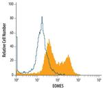 EOMES Antibody in Flow Cytometry (Flow)