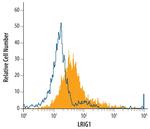 LRIG1 Antibody in Flow Cytometry (Flow)