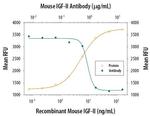 IGF2 Antibody