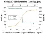 PPBP Antibody