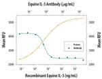 IL-5 Antibody in Neutralization (Neu)