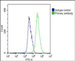 AP1M1 Antibody in Flow Cytometry (Flow)