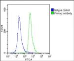 RAB12 Antibody in Flow Cytometry (Flow)