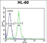 CPT1C Antibody in Flow Cytometry (Flow)