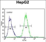 GFER Antibody in Flow Cytometry (Flow)