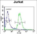 Naked2 Antibody in Flow Cytometry (Flow)