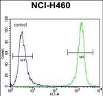 PRAMEF8 Antibody in Flow Cytometry (Flow)