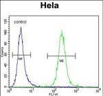 POLR1B Antibody in Flow Cytometry (Flow)