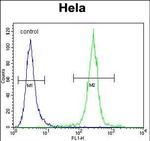 COCH Antibody in Flow Cytometry (Flow)