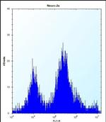 UBE2E2 Antibody in Flow Cytometry (Flow)