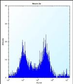 MAP4K3 Antibody in Flow Cytometry (Flow)