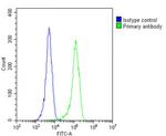 RAB28 Antibody in Flow Cytometry (Flow)