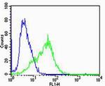 CHRNA9 Antibody in Flow Cytometry (Flow)