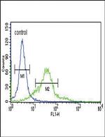 SESN2 Antibody in Flow Cytometry (Flow)