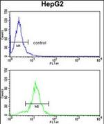 SLC38A3 Antibody in Flow Cytometry (Flow)