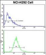 EPB41L4B Antibody in Flow Cytometry (Flow)