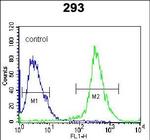 MKP3 Antibody in Flow Cytometry (Flow)