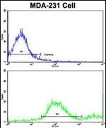 alpha-2b Adrenergic Receptor Antibody in Flow Cytometry (Flow)