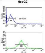 AGPAT3 Antibody in Flow Cytometry (Flow)