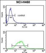 MAG Antibody in Flow Cytometry (Flow)