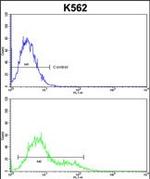 INPP4B Antibody in Flow Cytometry (Flow)