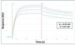 MARCH1 Antibody in Surface plasmon resonance (SPR)