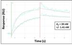 KERA Antibody in Surface plasmon resonance (SPR)