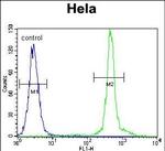 ASXL1 Antibody in Flow Cytometry (Flow)