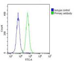 IGF2 Antibody in Flow Cytometry (Flow)