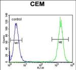 DUOX2 Antibody in Flow Cytometry (Flow)