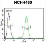 PRAMEF6 Antibody in Flow Cytometry (Flow)