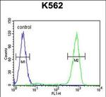 OC90 Antibody in Flow Cytometry (Flow)