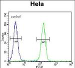 GTF3C4 Antibody in Flow Cytometry (Flow)