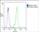 SFTPC Antibody in Flow Cytometry (Flow)